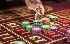 Pelican Casino casino presented on mobile device in Pakistan with slots and live games